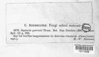 Image Associated With the Occurence